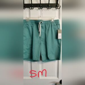 Goodfellow & Co Teal Men Shorts